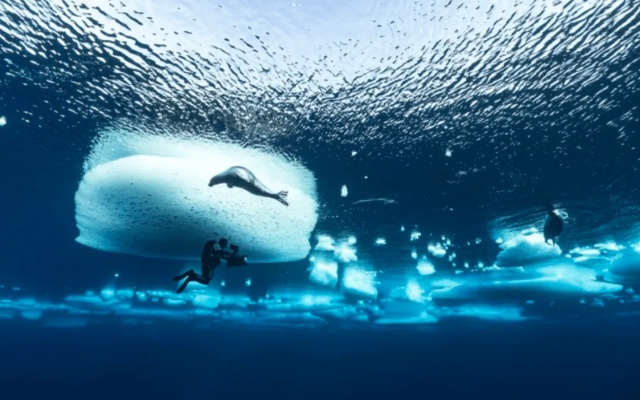 迷雾探险,鲸空翱翔:揭秘生存新境界 迷雾探险,鲸空翱翔:揭秘生存新境界
