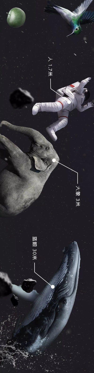 迷雾探险,鲸空翱翔:揭秘生存新境界 迷雾探险,鲸空翱翔:揭秘生存新境界