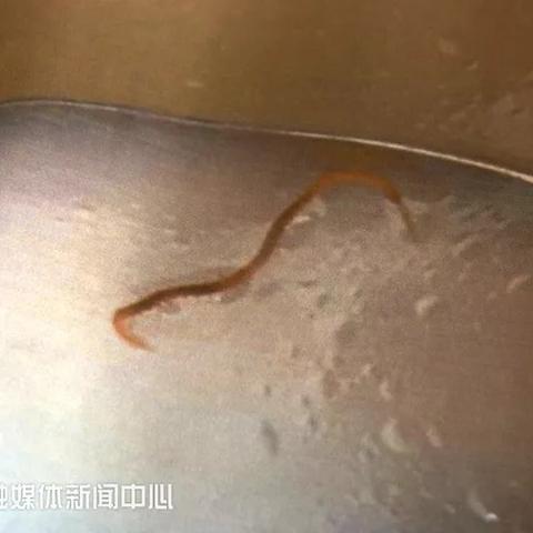 免费变收费？只为玩家不恶心，全新游戏体验升级！