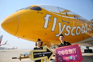 迷雾生存探险，鲸空翱翔新体验