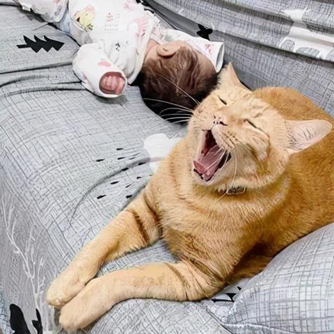 上班摸鱼怕被抓?这3款低配置解谜小游戏,10分钟一局越玩越上头 上班摸鱼怕被抓?这3款低配置解谜小游戏,10分钟一局越玩越上头