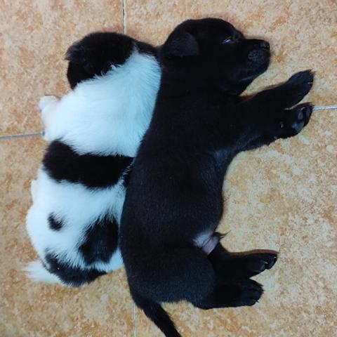 冒险类游戏藏着多少没说破的爽点?从3款神作拆解玩家最想要的沉浸式发疯 冒险类游戏藏着多少没说破的爽点?从3款神作拆解玩家最想要的沉浸式发疯