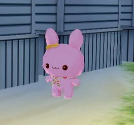 兔兔天使在哪,有人发现了吗