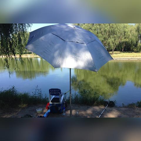 师父下载总踩坑？老玩家亲测4个避坑技巧+1个权威资源渠道