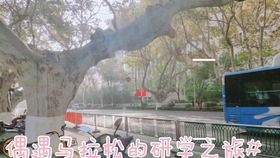 足浴贷新突破,灵视囧图揭秘变奇观 足浴贷新突破,灵视囧图揭秘变奇观