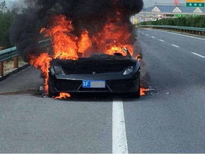 服务区轿车自燃变空架？游戏里的「载具生存课」早给了你标准答案