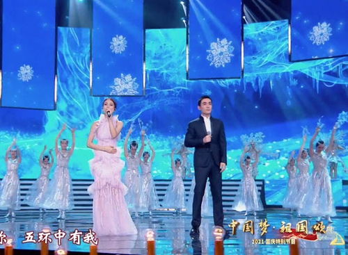 国家级伴舞引关注，究竟何方神人演唱会？