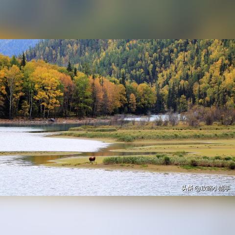 《光影传奇：33号队狂揽荒野销量巅峰》