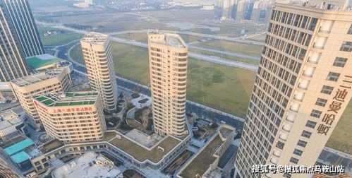 《inZOI》2026年大更新揭秘：海量内容前瞻，价值升级！
