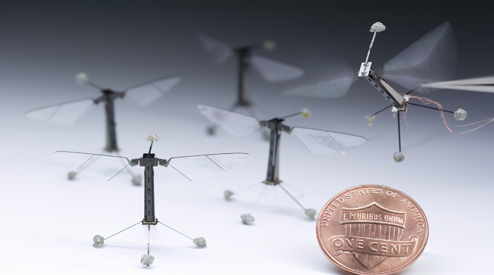 全球最小自主机器人诞生：盐粒大小，仅需一美分打造！