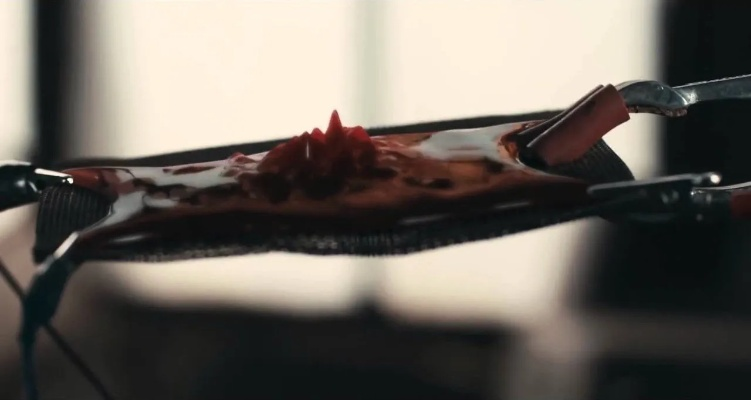 澳洲惊悚片《杀人鲸》预告：血液惊变“排泄物”引热议