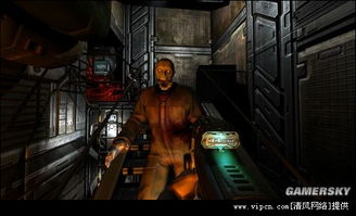 《血源PC版揭秘》破解PS4模拟器在线联机新篇章