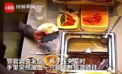 海底捞惊曝：顾客发现面甩地后，店员竟提供神秘特权！