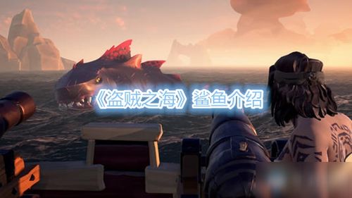 2025双人游戏大全深度盘点，90%玩家没玩过的「黏人局」神作，到底爽在哪？