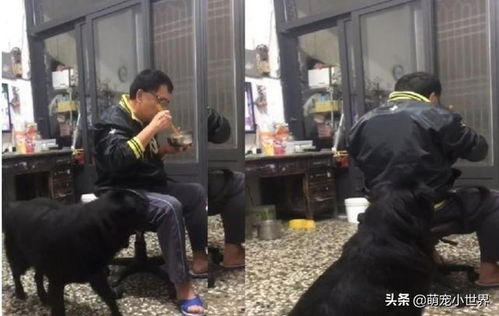 《三男一狗》麦克频遭恶意骚扰：揭秘反诈新手段