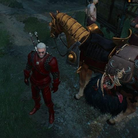 《巫师3》DLC震撼来袭！新内容预览竟成《巫师4》预告片！