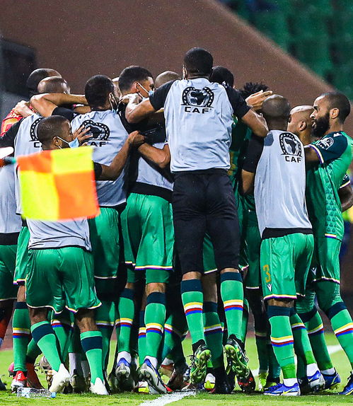 非洲杯耻辱出局,加蓬政府痛下决心解散国家队,队长被开除,重塑足球荣耀刻不容缓 非洲杯耻辱出局,加蓬政府痛下决心解散国家队,队长被开除,重塑足球荣耀刻不容缓