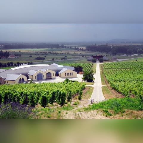 野猪王刷不出？3招吃透刷新逻辑，我用2小时拿满掉落全成就