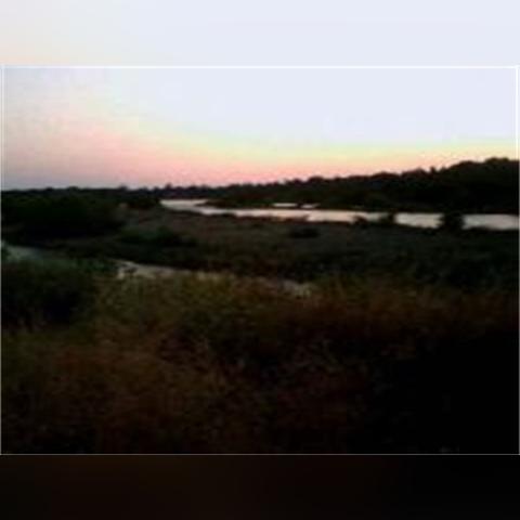 幽暗森林新秘境:探险者必至的神秘领域 幽暗森林新秘境:探险者必至的神秘领域