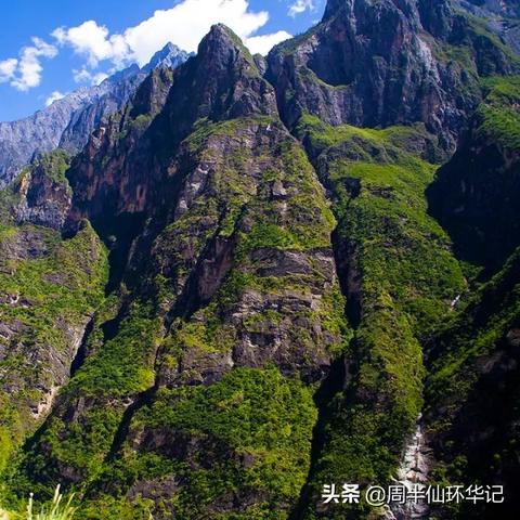 幽暗森林新秘境:探险者必至的神秘领域 幽暗森林新秘境:探险者必至的神秘领域