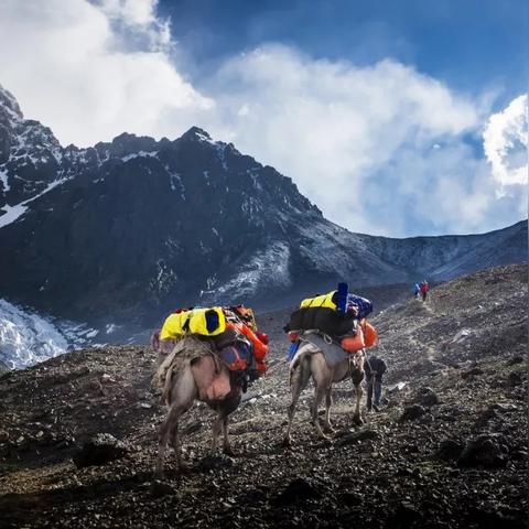 《零红蝶：重制版》角色深度解析，探寻神秘新价值