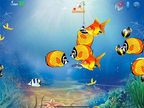 小猫钓鱼游戏还能这么玩？老玩家压箱底的3个隐藏机制，90%的人没摸透