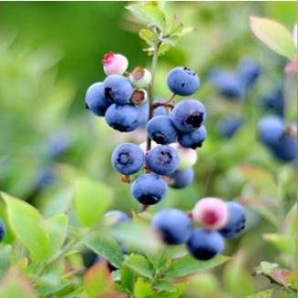 PS5独占大作流失两员，转机将至惊喜连连