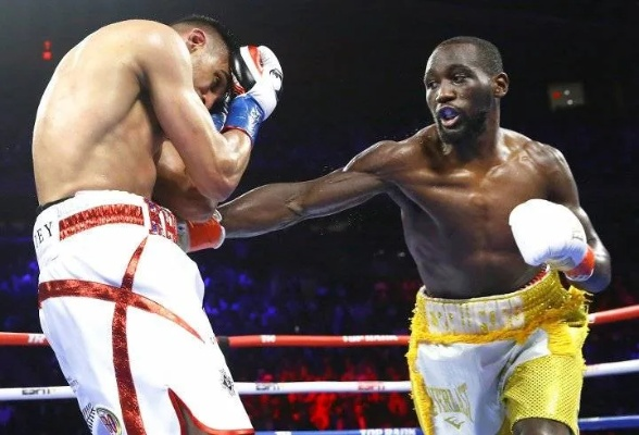 美国暴力拳击,暴力拳击会带来哪些后果？