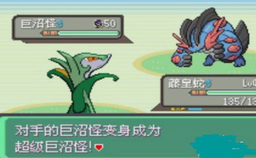 口袋妖怪日月隐藏机制曝光，90%玩家都错用的Z技能增益公式