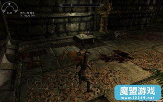 上古卷轴5新手必看，90%玩家踩过的3个隐藏坑，影响结局的关键选择居然在这儿？