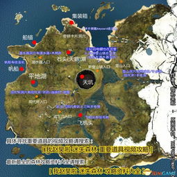 森林地图藏了多少玩家没发现的生存密码?老玩家实测300小时的隐藏逻辑 森林地图藏了多少玩家没发现的生存密码?老玩家实测300小时的隐藏逻辑