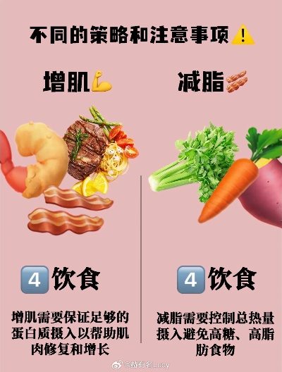 天冷脂肪合成快4倍?玩家必看的冬季囤肉避坑&战力保持实战攻略 天冷脂肪合成快4倍?玩家必看的冬季囤肉避坑&战力保持实战攻略