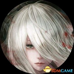 《尼尔：机械纪元》2B性格剖析，日英台词差异引发深度热议