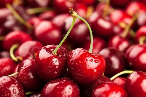 合肥车厘子价格狂跌，日销15吨，揭秘惊人销量秘诀！