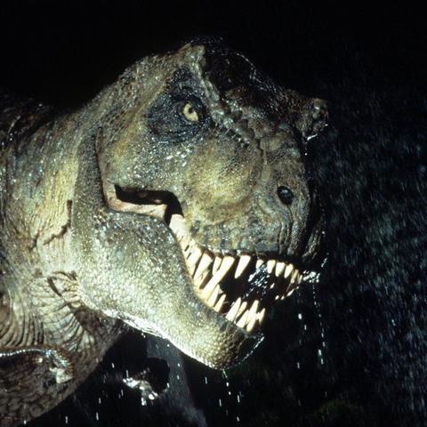 马斯克急售比特币,游戏玩家的加密皮肤资产要凉?3个实战保命技巧 马斯克急售比特币,游戏玩家的加密皮肤资产要凉?3个实战保命技巧