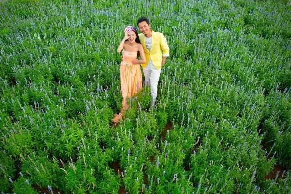 微观治愈新体验，《浪漫满地》打造心灵绿洲