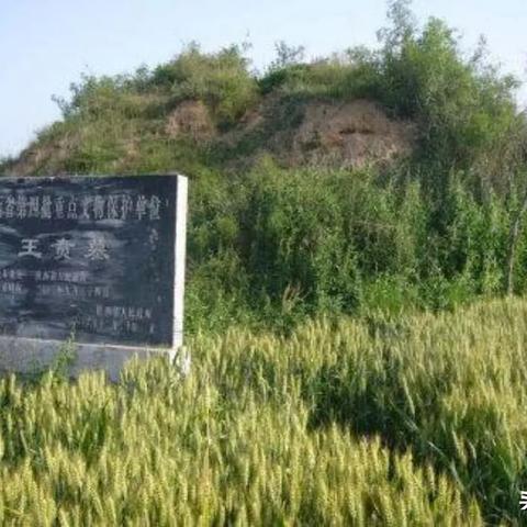 比亚迪秦新车型1月8日亮相，210km续航电池革新续航里程