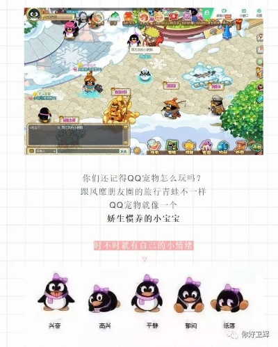 QQ宠物2026最新玩法拆解，为什么老玩家都在攒这5种道具？