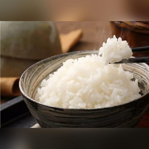 大米产量新突破，印度超越中国之谜揭晓