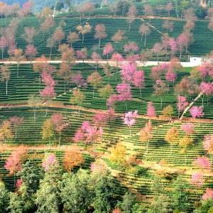 东云海美照写真集热销网购，独家珍藏版限时抢购