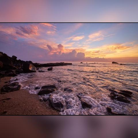 《寄生种》惊悚试玩DEMO：揭秘未知生存秘境