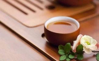 酒店1600元一晚惊现虫害，积分补偿茶叶仅是杯水车薪