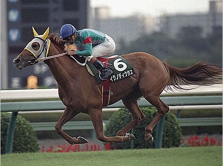 官方紧急道歉！《赛马娘》玩偶惊现“人耳”，创新设计引热议