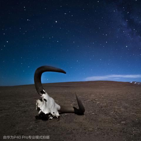 15分钟生死轮回，银河城探险惊悚体验