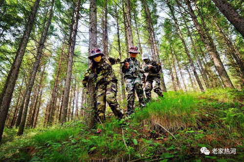 《拉格朗日四年坚守，荒漠植绿五万株，初心铸就绿色传奇》