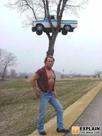 车道风光胜模特，囧图再现趣味多