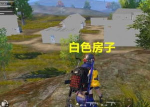 峡谷入口侦查全细节，为什么老玩家落地前3秒就能锁定安全区？