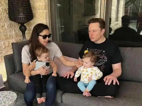 双胞胎传奇：马斯克女高管，指环王后传老头环新篇