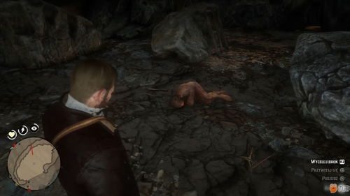 行尸走肉第四章藏了多少玩家没发现的生存暗线?看完少走3小时弯路 行尸走肉第四章藏了多少玩家没发现的生存暗线?看完少走3小时弯路