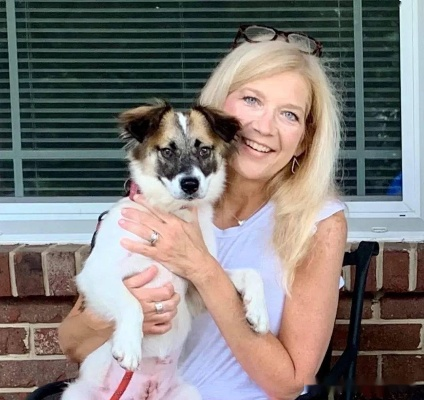 爱犬被咬事件:大表姐忍痛送走7年挚友,亲情与安全两难抉择 爱犬被咬事件:大表姐忍痛送走7年挚友,亲情与安全两难抉择